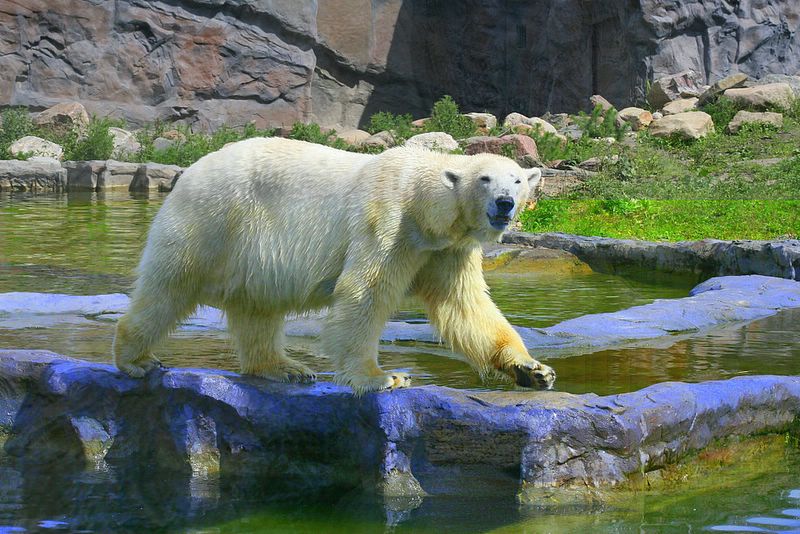 gezoo040606_009.jpg