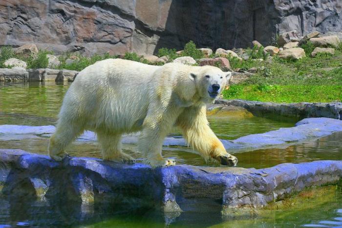 gezoo040606_009.jpg