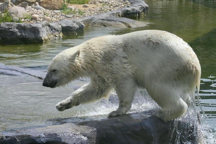 gezoo040606_010.jpg