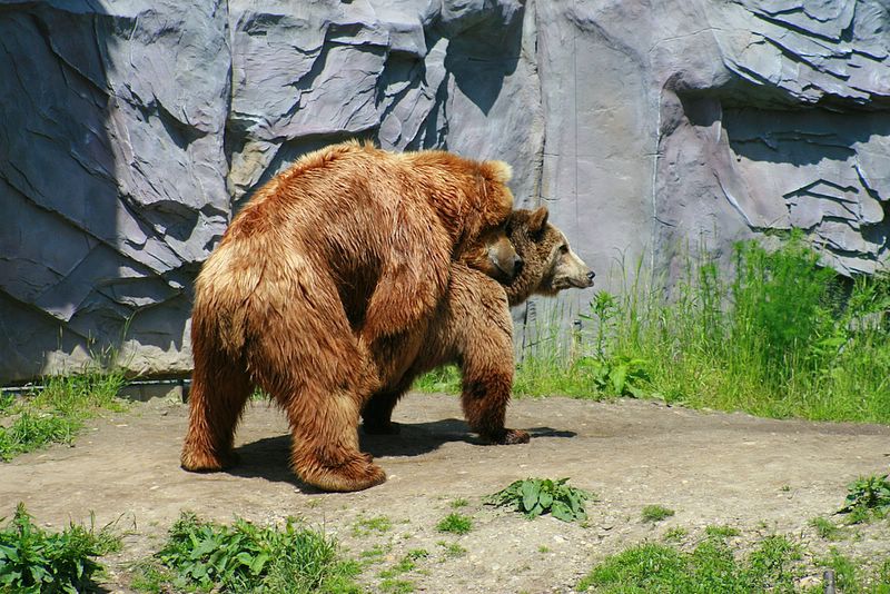 gezoo040606_018.jpg