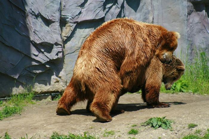 gezoo040606_019.jpg