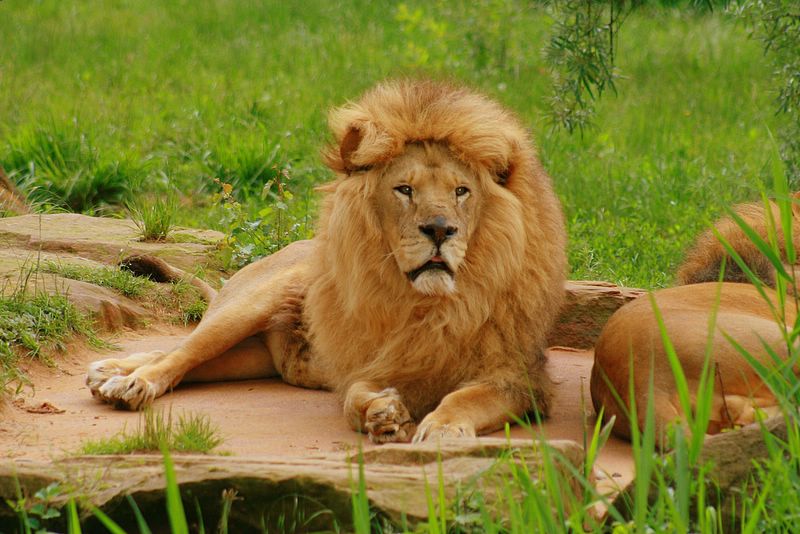 gezoo040606_003.jpg