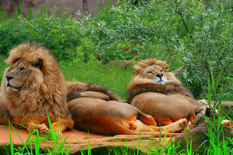 gezoo040606_004.jpg
