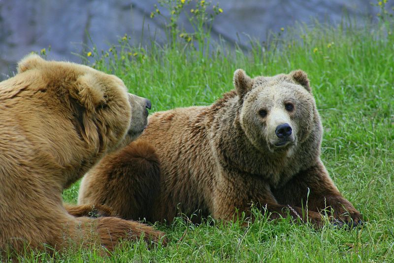 gezoo040606_007.jpg