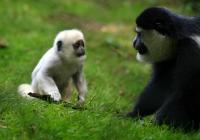 IMG_4840-11.jpg