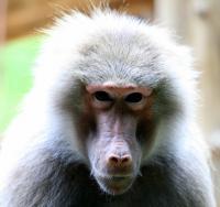 IMG_5746.jpg