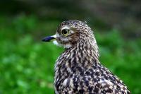 IMG_7713.jpg