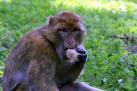 IMG_8014.jpg