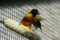 IMG_8094.jpg