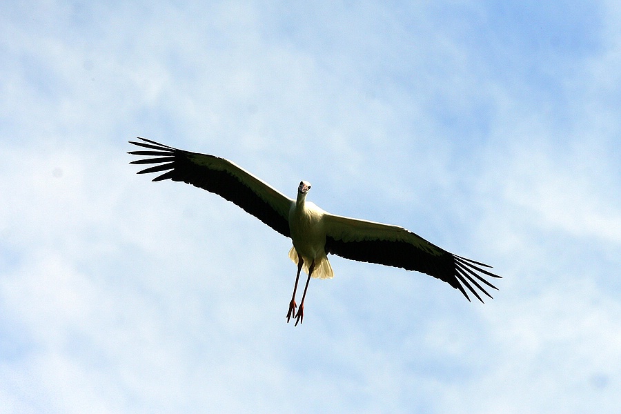 IMG_8157.jpg