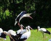 IMG_8189.jpg