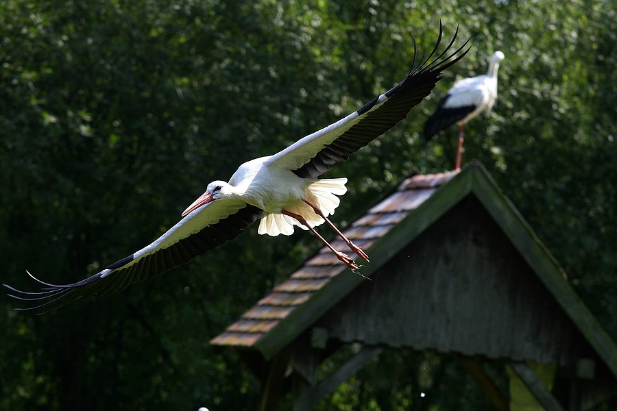IMG_8191.jpg