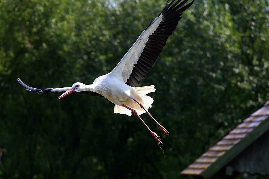 IMG_8192.jpg