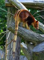 IMG_9652.jpg
