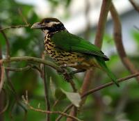 IMG_9751.jpg