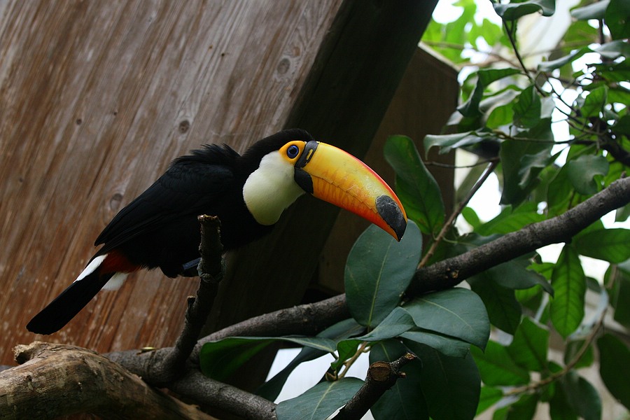 IMG_1188.jpg