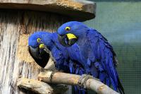 IMG_1467.jpg