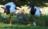 IMG_1663.jpg