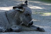 IMG_1740.jpg