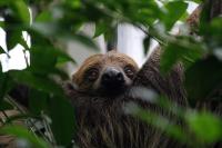 IMG_4074-1.jpg