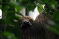 IMG_4067-1.jpg