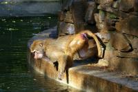 IMG_5327-1.jpg