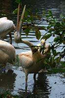 IMG_5056-1.jpg