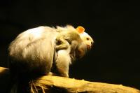 IMG_5659.jpg