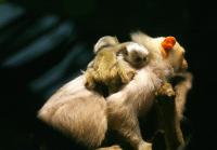 IMG_5904.jpg