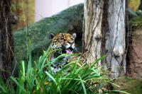 IMG_6749.jpg