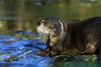 IMG_0603-11.jpg