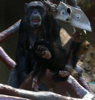 IMG_0821-11.jpg