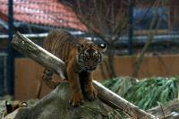 IMG_1508.jpg