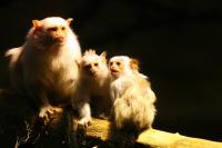 IMG_2674.jpg