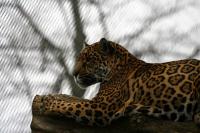 IMG_5944-11.jpg