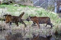 IMG_0046-11.jpg