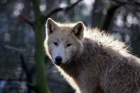 IMG_0883-11.jpg