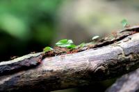 IMG_6518.jpg