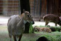 IMG_9362-1.jpg