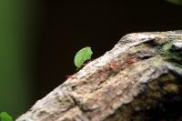IMG_0148-1.jpg