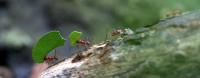 IMG_0359-1.jpg