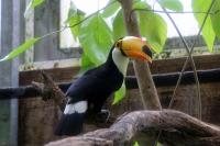 IMG_0390-1.jpg