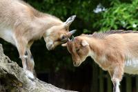 IMG_0410-1.jpg