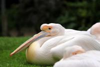 IMG_9980-1.jpg