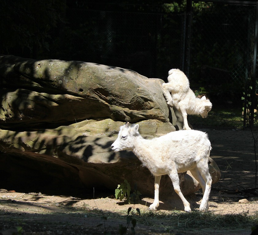 IMG_4534-11.jpg