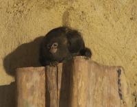 IMG_4596-11.jpg
