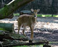 IMG_4643-11.jpg