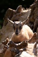 IMG_7541.jpg