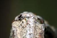 IMG_7576.jpg