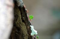 IMG_7582.jpg